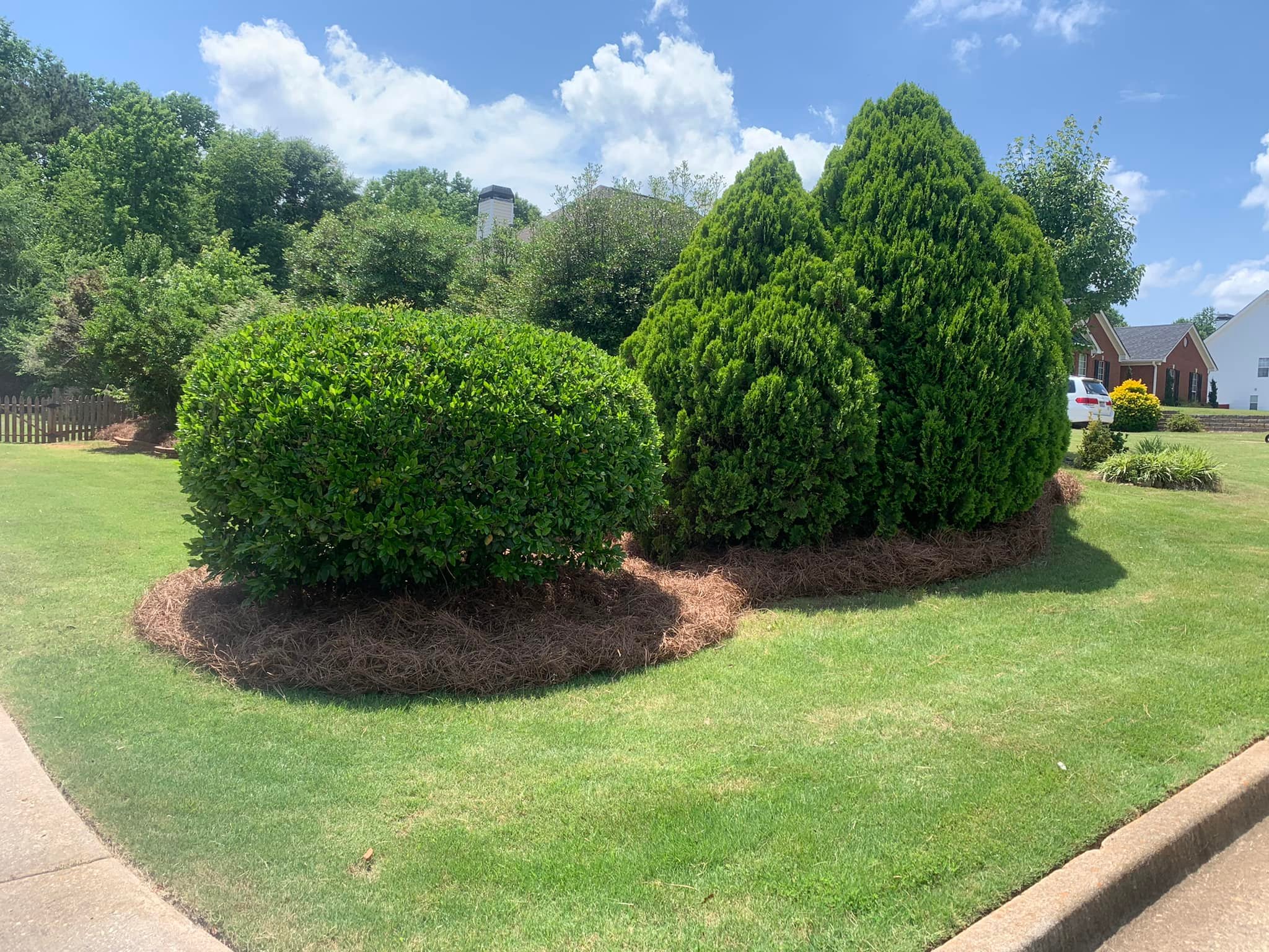Professional hedge trimming and pine straw installation